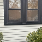 Black windows