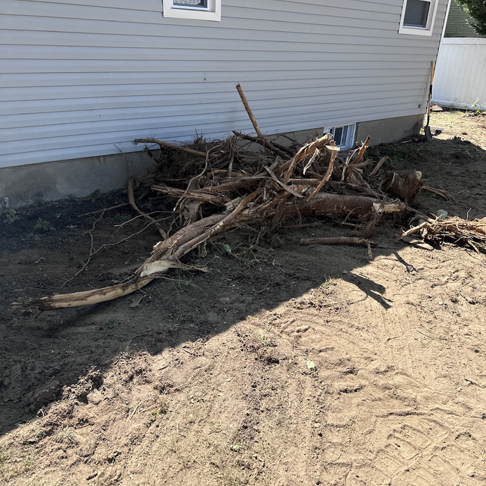 Additional Photos