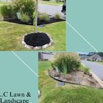 Making home Beautiful