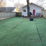 leaf cleaning