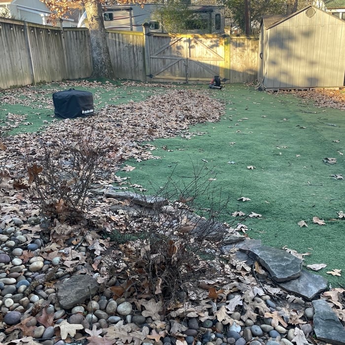leaf cleaning