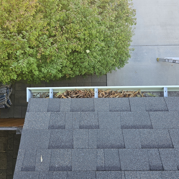 Clogged Gutters