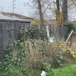 Prior to removal