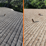 Roof Rejuvenation