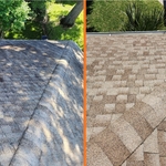 Roof Rejuvenation