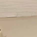 Interior Painting Project
