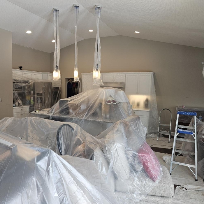 Interior Painting Project