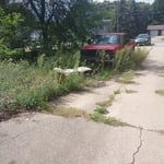 Driveway clean up