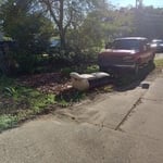 Driveway clean up