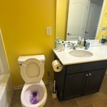 Limpieza de baño