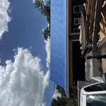 New Metal Roof