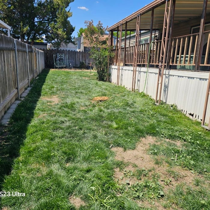 Landscaping