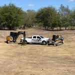 Pond Cleanout