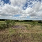 Brush Clearing