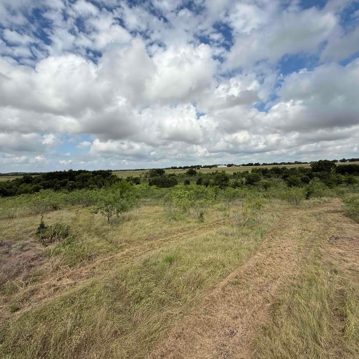 Brush Clearing