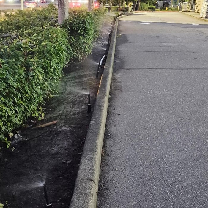Arlington Irrigation.