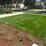 Sod installation