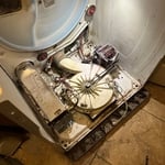 Dryer Cleanout