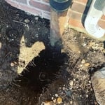 Main house trap outside