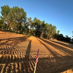 Land clearing