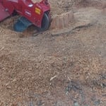 Grinding of the stump