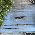 Handyman Services Project