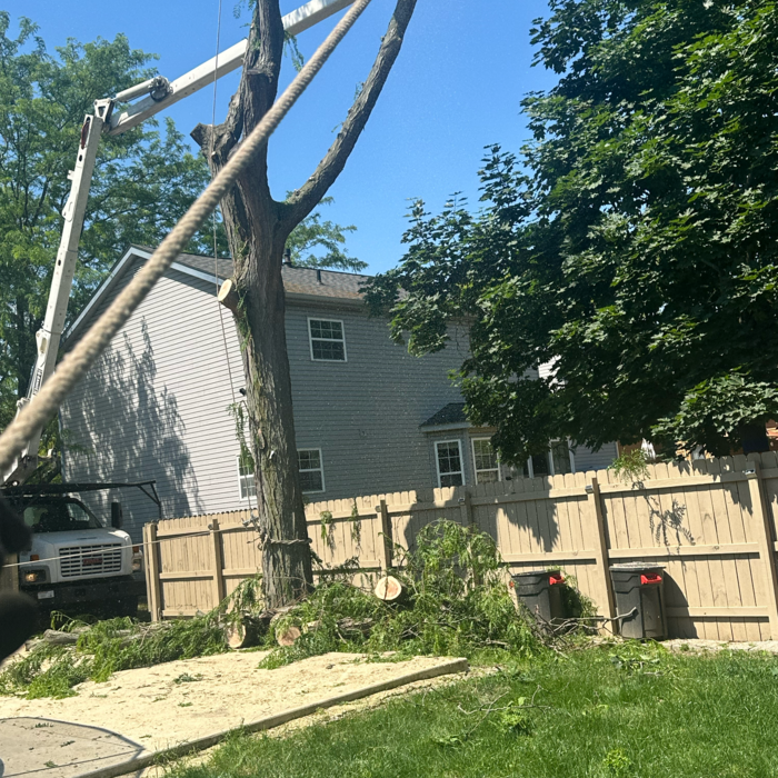 Additional Photos