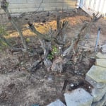 Tree Service Project