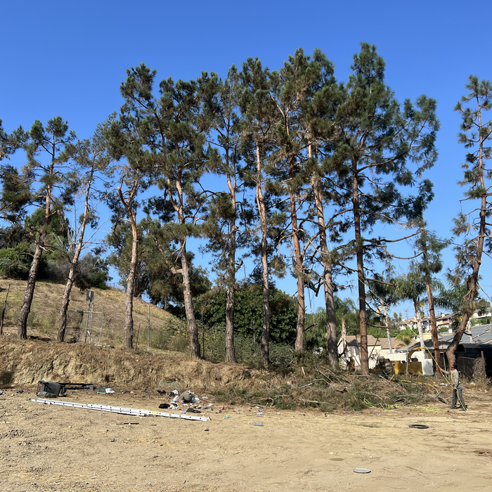 Additional Photos