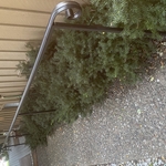 Welding Project