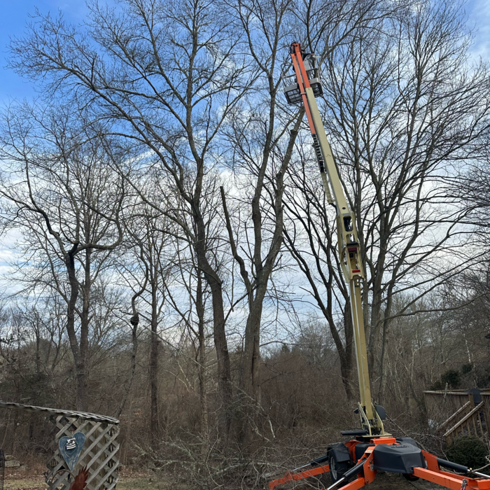 Additional Photos