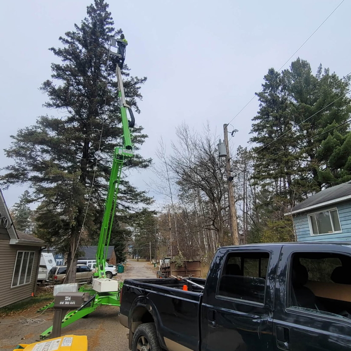 Lift Tree Removal
