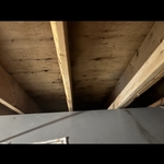 Bourne Mold Job