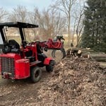 Tree removal