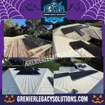 Roof cleaning