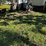 yard clean up