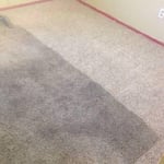 Sanitizer and Deodorizer