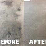 Pet Treatment Protectant
