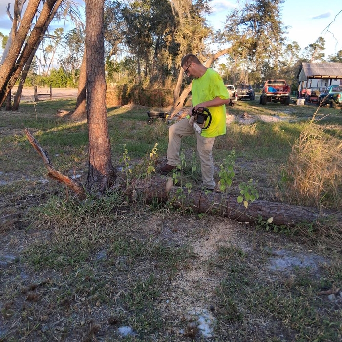Storm clean up
