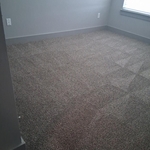 Carpet cleaning