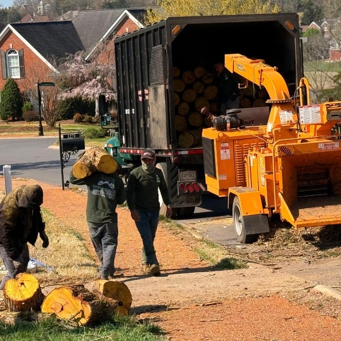Rico Tree Services