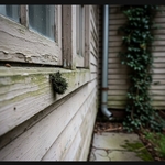 Exterior window