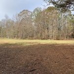 Tree Service Project