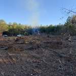 Tree Service Project