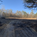 Tree Service Project