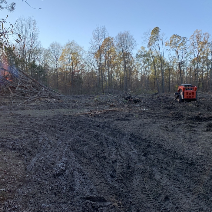 Tree Service Project