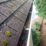 Gutter Cleaning Project
