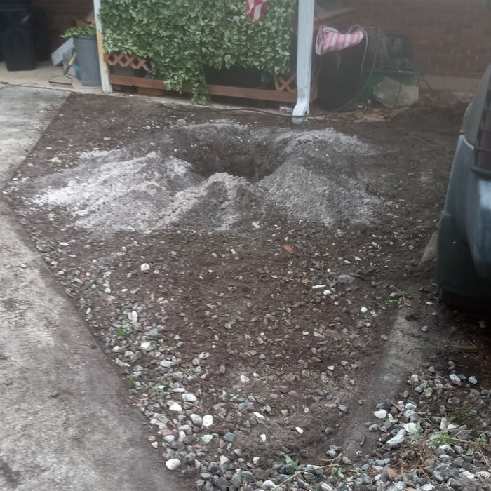 Plant and mulch installed