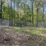 6’ tall Chainlink fence