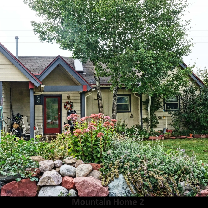 Design and construction management for a small home in Aspen